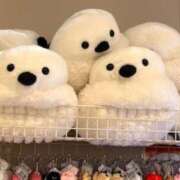 ヒメ日記 2025/05/31 20:32 投稿 鈴木まゆき(すずきまゆき) 五十路マダムエクスプレス厚木店(カサブランカグループ)