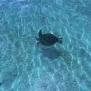 ヒメ日記 2025/06/01 17:52 投稿 鈴木まゆき(すずきまゆき) 五十路マダムエクスプレス厚木店(カサブランカグループ)