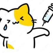 ヒメ日記 2025/06/03 20:24 投稿 鈴木まゆき(すずきまゆき) 五十路マダムエクスプレス厚木店(カサブランカグループ)