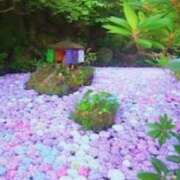 ヒメ日記 2025/06/23 08:02 投稿 鈴木まゆき(すずきまゆき) 五十路マダムエクスプレス厚木店(カサブランカグループ)