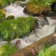 ヒメ日記 2025/07/01 08:58 投稿 鈴木まゆき(すずきまゆき) 五十路マダムエクスプレス厚木店(カサブランカグループ)