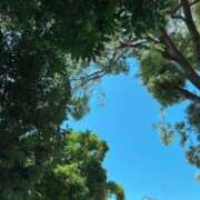 ヒメ日記 2025/07/27 06:26 投稿 鈴木まゆき(すずきまゆき) 五十路マダムエクスプレス厚木店(カサブランカグループ)