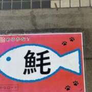 ヒメ日記 2025/08/16 10:24 投稿 鈴木まゆき(すずきまゆき) 五十路マダムエクスプレス厚木店(カサブランカグループ)