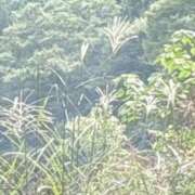 ヒメ日記 2025/09/14 22:10 投稿 鈴木まゆき(すずきまゆき) 五十路マダムエクスプレス厚木店(カサブランカグループ)