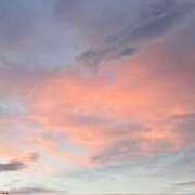 ヒメ日記 2025/09/29 20:46 投稿 鈴木まゆき(すずきまゆき) 五十路マダムエクスプレス厚木店(カサブランカグループ)