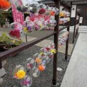 ヒメ日記 2025/10/16 17:20 投稿 鈴木まゆき(すずきまゆき) 五十路マダムエクスプレス厚木店(カサブランカグループ)