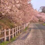 ヒメ日記 2026/03/10 20:30 投稿 鈴木まゆき(すずきまゆき) 五十路マダムエクスプレス厚木店(カサブランカグループ)