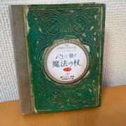 ヒメ日記 2026/03/21 13:38 投稿 鈴木まゆき(すずきまゆき) 五十路マダムエクスプレス厚木店(カサブランカグループ)