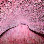 ヒメ日記 2026/03/24 17:12 投稿 鈴木まゆき(すずきまゆき) 五十路マダムエクスプレス厚木店(カサブランカグループ)