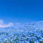 ヒメ日記 2026/04/11 10:28 投稿 鈴木まゆき(すずきまゆき) 五十路マダムエクスプレス厚木店(カサブランカグループ)