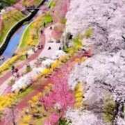 鈴木まゆき(すずきまゆき) さくら 五十路マダムエクスプレス厚木店(カサブランカグループ)