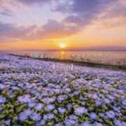 ヒメ日記 2026/04/20 06:38 投稿 鈴木まゆき(すずきまゆき) 五十路マダムエクスプレス厚木店(カサブランカグループ)