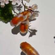 ヒメ日記 2025/03/15 21:26 投稿 悠奈(ゆな) グランドオペラ横浜