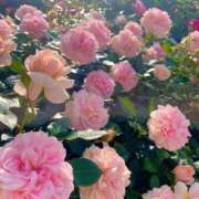 ヒメ日記 2025/04/07 12:27 投稿 悠奈(ゆな) グランドオペラ横浜