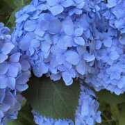 ヒメ日記 2025/06/19 14:41 投稿 悠奈(ゆな) グランドオペラ横浜