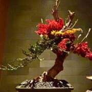 ヒメ日記 2025/08/26 20:29 投稿 悠奈(ゆな) グランドオペラ横浜