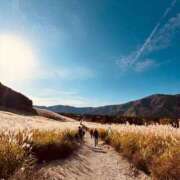 ヒメ日記 2025/11/11 17:41 投稿 悠奈(ゆな) グランドオペラ横浜