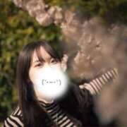 ヒメ日記 2025/04/12 01:41 投稿 みく ごほうびSPA名古屋店