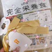 ヒメ日記 2025/06/24 11:48 投稿 みく ごほうびSPA名古屋店