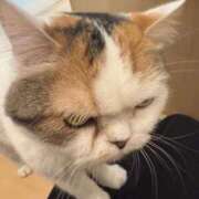 ヒメ日記 2025/07/09 12:34 投稿 みく ごほうびSPA名古屋店