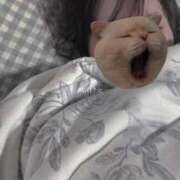 ヒメ日記 2025/09/15 11:58 投稿 みく ごほうびSPA名古屋店