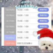 みく 12/15〜12/21予定🗓️. ごほうびSPA名古屋店