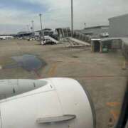 ヒメ日記 2025/12/19 07:48 投稿 みく ごほうびSPA名古屋店