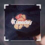 ヒメ日記 2026/02/03 06:48 投稿 みく ごほうびSPA名古屋店