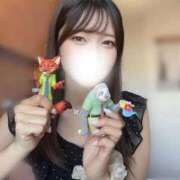 ヒメ日記 2025/10/17 14:19 投稿 れい ごほうびSPA名古屋店