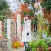 ヒメ日記 2024/12/21 19:33 投稿 せいら ごほうびSPA名古屋店