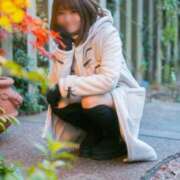 ヒメ日記 2024/12/23 08:51 投稿 せいら ごほうびSPA名古屋店