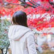 ヒメ日記 2025/01/07 09:02 投稿 せいら ごほうびSPA名古屋店