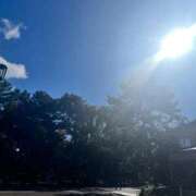 ヒメ日記 2026/01/26 07:48 投稿 せいら ごほうびSPA名古屋店