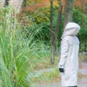 ヒメ日記 2026/03/21 12:28 投稿 せいら ごほうびSPA名古屋店