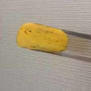 ヒメ日記 2026/03/28 06:38 投稿 せいら ごほうびSPA名古屋店