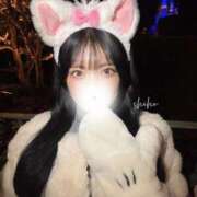 ヒメ日記 2024/12/19 21:02 投稿 しほ ごほうびSPA名古屋店