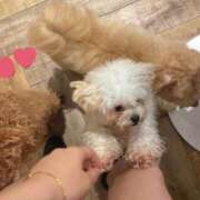 ヒメ日記 2025/08/05 00:18 投稿 しほ ごほうびSPA名古屋店