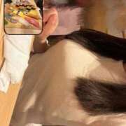 ヒメ日記 2025/10/24 01:18 投稿 しほ ごほうびSPA名古屋店