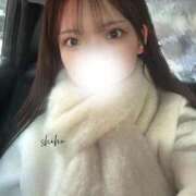 ヒメ日記 2026/01/11 12:30 投稿 しほ ごほうびSPA名古屋店