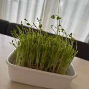 ヒメ日記 2025/04/07 10:21 投稿 のあ ごほうびSPA名古屋店