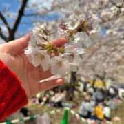 ヒメ日記 2025/04/12 07:31 投稿 のあ ごほうびSPA名古屋店
