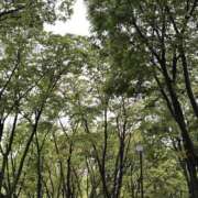 ヒメ日記 2025/04/23 12:04 投稿 のあ ごほうびSPA名古屋店