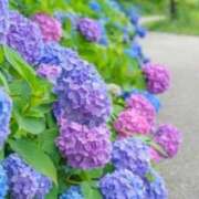 ヒメ日記 2025/06/01 10:08 投稿 のあ ごほうびSPA名古屋店