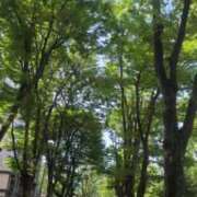 ヒメ日記 2025/06/18 12:19 投稿 のあ ごほうびSPA名古屋店