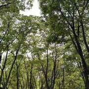 ヒメ日記 2025/07/13 08:08 投稿 のあ ごほうびSPA名古屋店