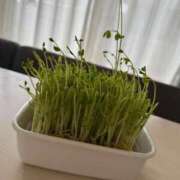 ヒメ日記 2025/09/21 08:08 投稿 のあ ごほうびSPA名古屋店