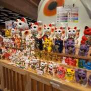 ヒメ日記 2025/11/11 08:08 投稿 のあ ごほうびSPA名古屋店