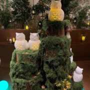 ヒメ日記 2025/11/15 08:08 投稿 のあ ごほうびSPA名古屋店