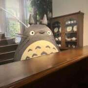 ヒメ日記 2026/01/28 08:18 投稿 のあ ごほうびSPA名古屋店