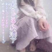 ヒメ日記 2026/02/22 14:18 投稿 のあ ごほうびSPA名古屋店